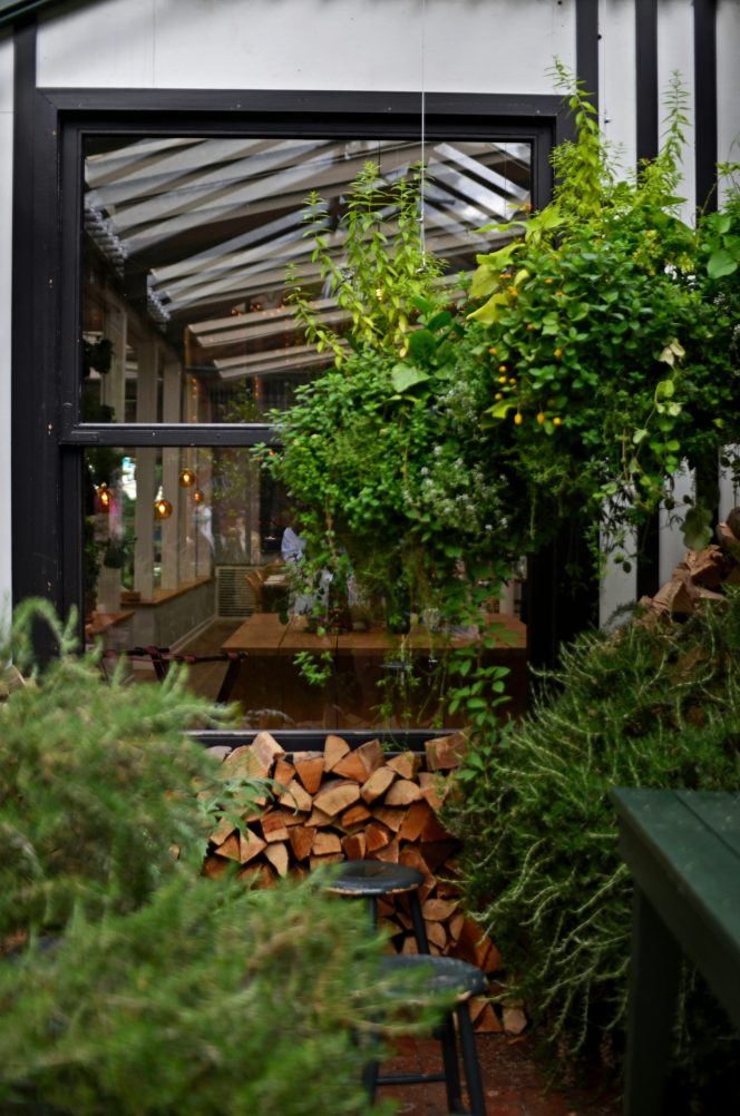 
 Transforming Small Yards into Outdoor Oases: Smart Layouts and Vertical Gardening Tips