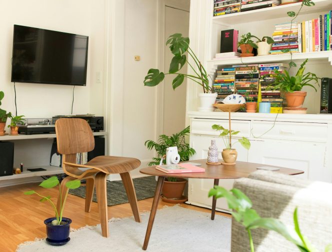 
 A Room-by-Room Guide to a Healthier, Allergen-Free Home